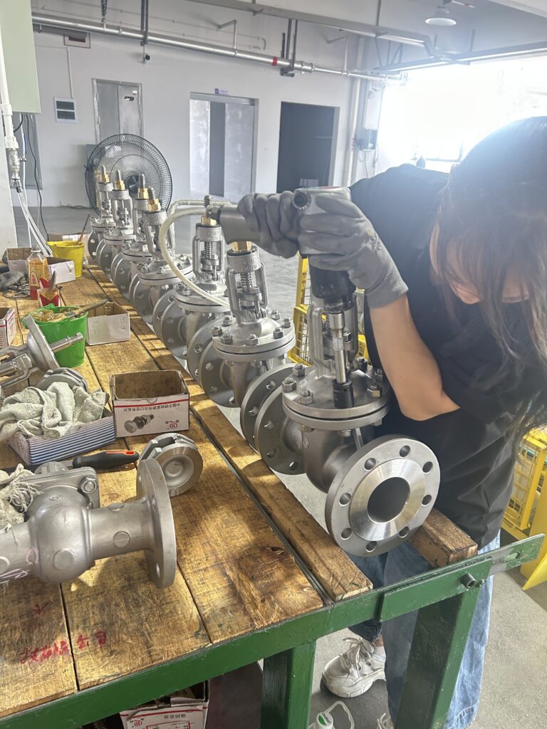 Video of BAUTU gate valves